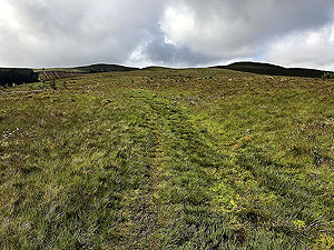 Glen Sherup loop. The path is faint and can get muddy