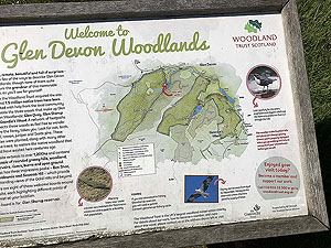 Glen Sherup loop. Useful information