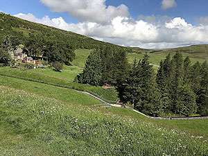 Glen Sherup loop. View back from the dam