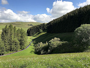 Glen Sherup loop. Looking down the glen from the dam