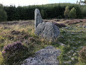 Pitfitchie loop. Looking across the fields towards Menaway