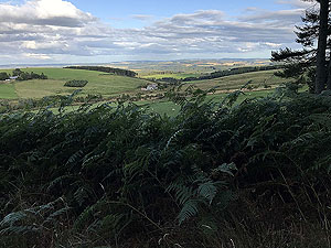 Pitfitchie loop. Rollign hills