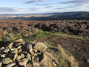 Pitfitchie loop. Cairn at Jenny's well