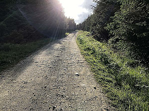 Pitfitchie loop. Road up from the car park