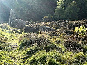 Pitfitchie loop. Stone circle