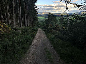 Pitfitchie loop. Part of the descent