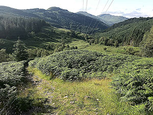 Glen Loin Loop. More back down the glen