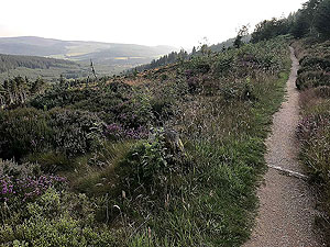 Bennachie. And narrower still