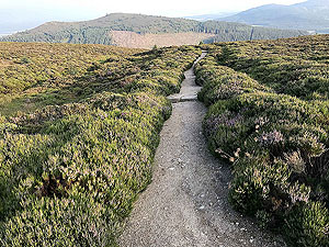 Bennachie. Out into the open