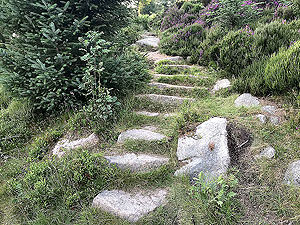 Bennachie. The staircase section - can get very slippy