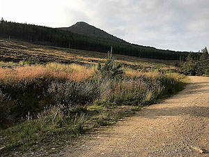 Bennachie. Mither Tap in the distance