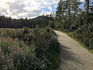 Bennachie. Views open out for a short while at the start