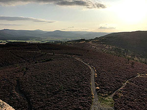 Scolty hill and more. View from the top of the tower towards Clachnaben
