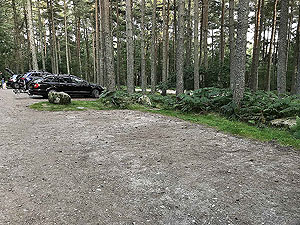 Scolty hill and more. Lots of spaces but does get busy at weekends