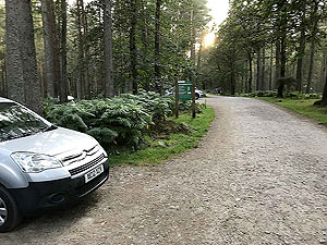 Scolty hill and more. Dirt road out of car park towards Scolty
