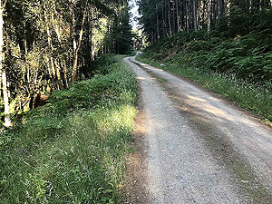 Scolty hill and more. Heading back to the car park