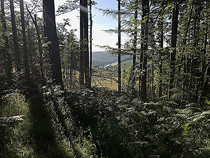 Scolty hill and more. The Dee appears between the trees