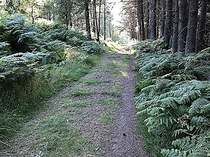 Scolty hill and more. To the left of the main gate