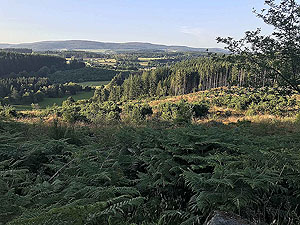 Scolty hill and more. Open countryside