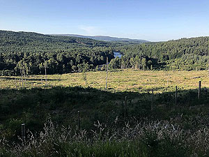 Scolty hill and more. Some open countryside