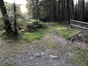 Scolty hill and more. After the hill and just before the gate this is the path on the left to take