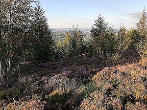 Scolty hill and more. Just short of the top, looking back