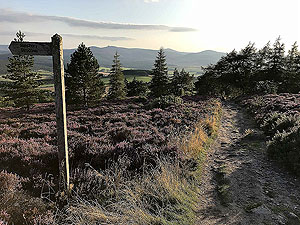 Scolty hill and more. Rocky part of the path