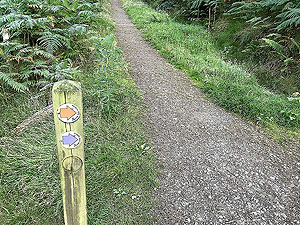 Scolty hill and more. Small signpost marks start of trail climb. Head off main path to the right
