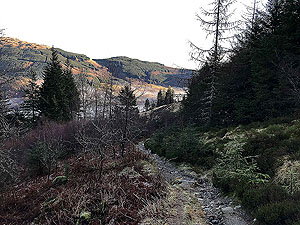 Ben Ledi. The last descent section is full of tree roots across the path.