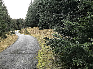 Killin - Lochan Breaclaich. Relentless uphill