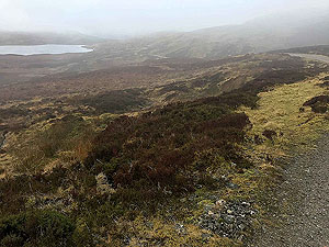 Killin - Lochan Breaclaich. A misty morning