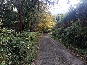 An Sidhean. Keep an eye out for red squirrels on this short section of road.