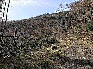 An Sidhean. The path remains steep