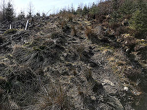 An Sidhean. At points the gradient is not too bad