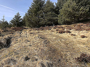 An Sidhean. And very wet in places