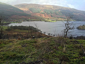 Aberfoyle past the tower. Where is the sunshine