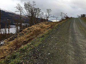 Aberfoyle past the tower. Image from Aberfoyle past the tower