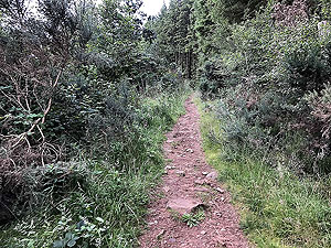 Clauchland hills fort. Short steeper section