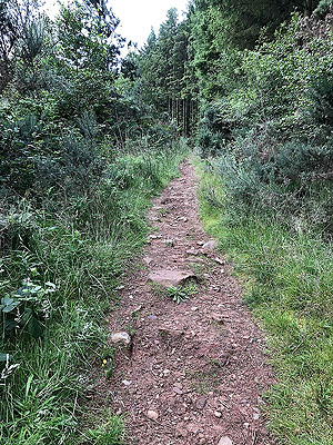 Clauchland hills fort. Portrait view of the path
