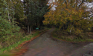 Durris Loop. This is the so easy to miss entrance to the Durris Forest car park