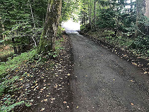 Killin 10K. Short section on this rural road