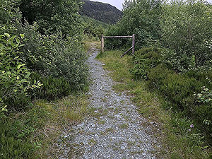 Meall Liath. Just after the second fence, take a right