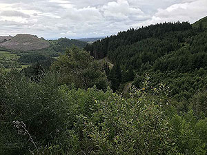 Meall Liath. Down below is the start of the rocky path you took