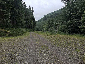 Meall Liath. Getting close to the loch