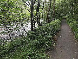 Meall Liath. Tarred path