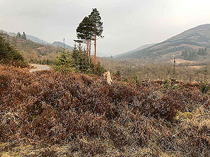 Kinlochard 5 lochs. Open countryside