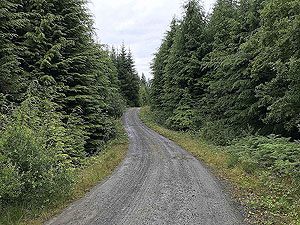 Kinlochard 5 lochs. Most common run surface on this route