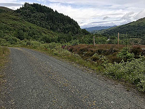 Kinlochard 5 lochs. Scotland in green