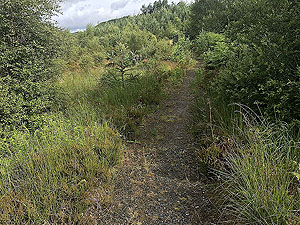 Kinlochard 5 lochs. Route is now trail