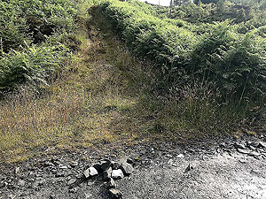 Kinlochard 5 lochs. Easy to miss, look for the arrow